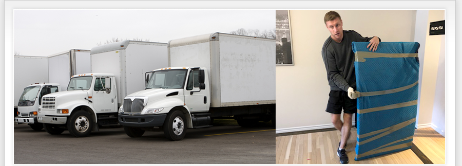Toronto moving company Alpha Movers will take care of your moving needs and offer relocating services in Toronto and GTA.